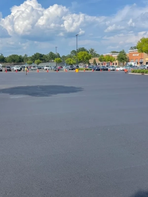 Close up flowers in garden<br />